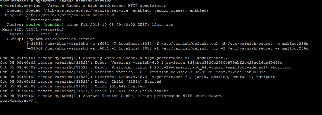 2018-10-05 09_52_54-root@remote - byobu